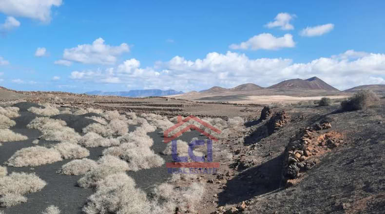 Las Palmas - Teguise - 12836m2