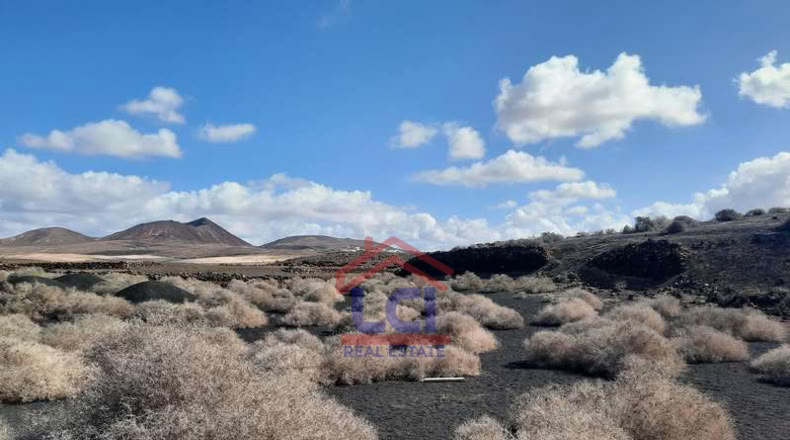 Las Palmas - Teguise - 12836m2