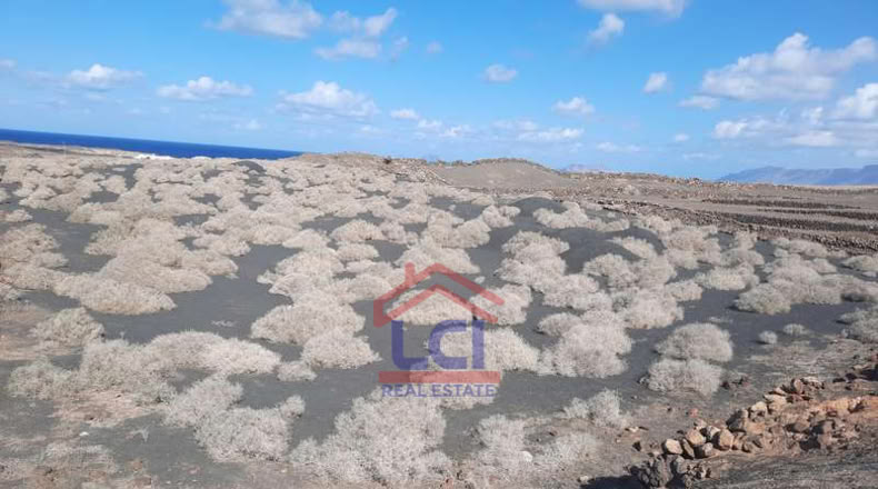 Las Palmas - Teguise - 12836m2