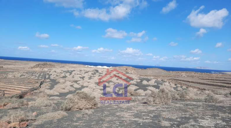 Las Palmas - Teguise - 12836m2