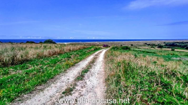 La Coruña - Carballo - 2491m2
