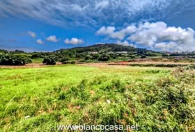 Carballo 2491&nbsp;m² 
