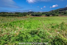 Carballo 2491&nbsp;m² 