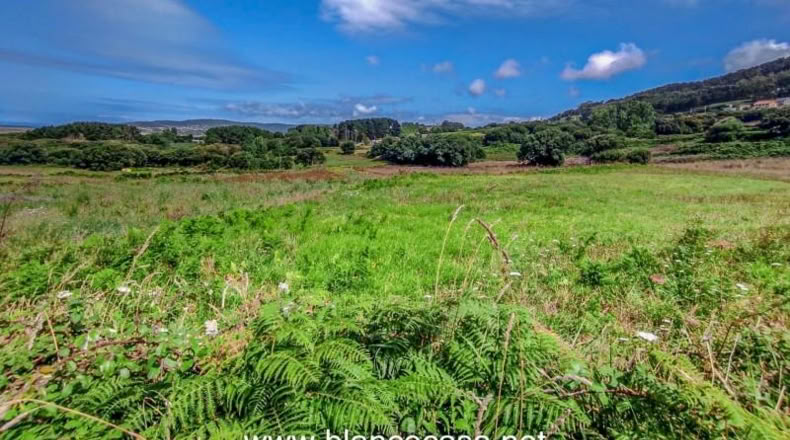 La Coruña - Carballo - 2491m2