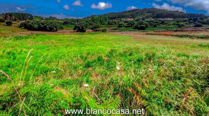 La Coruña - Carballo - 2491m2