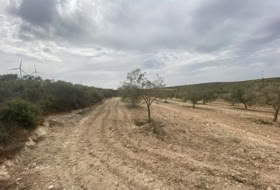 Foto 8