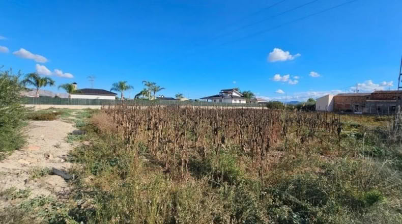 Múrcia - Santomera - 2232m2