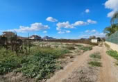 Terreny no urbanitzable en venda a la España, Santomera, ref.: TR115183 foto
