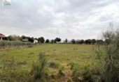 Non-developable land for sale on España, Mengabril, ref: TR122608 photo