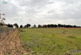 Mengabril 3282&nbsp;m² 