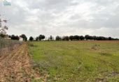 Non-developable land for sale on España, Mengabril, ref: TR122608 photo
