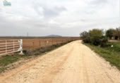 Non-developable land for sale on España, Mengabril, ref: TR122608 photo