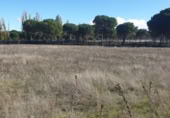 Parcela urbanizable en venta en la España, Aldeamayor de San Martín, ref: TR117175 foto