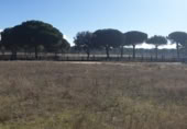 Parcela urbanizable en venta en la España, Aldeamayor de San Martín, ref: TR117175 foto