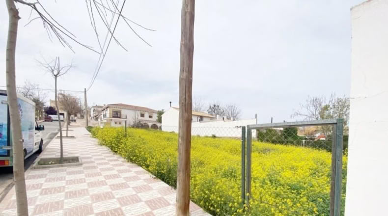 Granada - Pinos Puente - 271m2