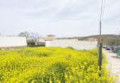 Suelo urbano en venta en la España, Pinos Puente, ref: TR117630 foto