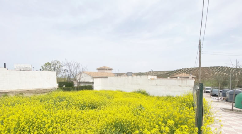 Granada - Pinos Puente - 271m2