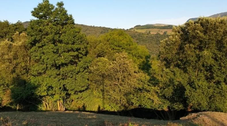 Cantàbria - Veguilla - 3303m2