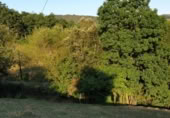 Non-developable land for sale on España, Veguilla, ref: TR118390 photo