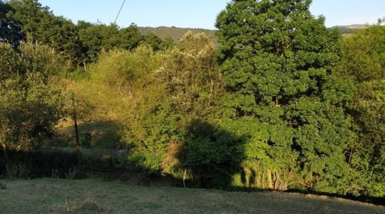 Cantàbria - Veguilla - 3303m2