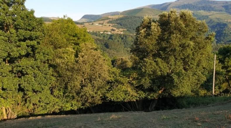 Cantàbria - Veguilla - 3303m2