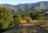 Non-developable land for sale on España, Veguilla, ref: TR118390 photo
