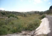 Terreno no urbanizable en venta en la España, Calasparra, ref: TR119447 foto