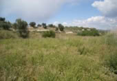 Terreno no urbanizable en venta en la España, Calasparra, ref: TR119447 foto