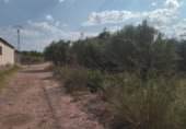 Terreny no urbanitzable en venda a la España, Calasparra, ref.: TR119475 foto