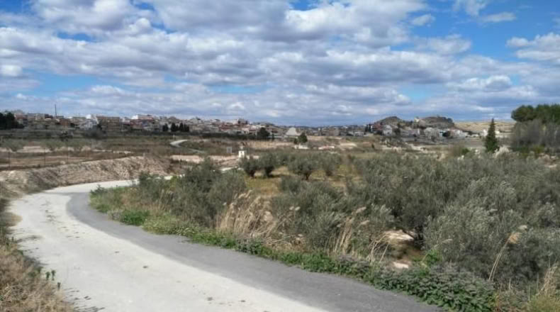 Múrcia - Calasparra - 6409m2