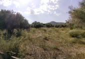 Terreny no urbanitzable en venda a la España, Calasparra, ref.: TR119475 foto