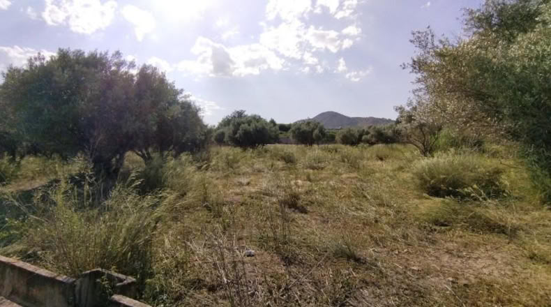 Múrcia - Calasparra - 6409m2