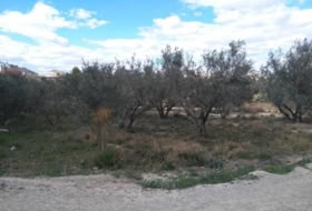 Foto 7