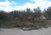Terreny no urbanitzable en venda a la España, Calasparra, ref.: TR119475 foto