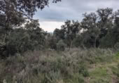 Земля на продажу у города Garriguella Фото