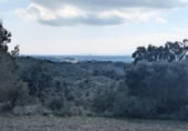 Земля на продажу у города Garriguella Фото