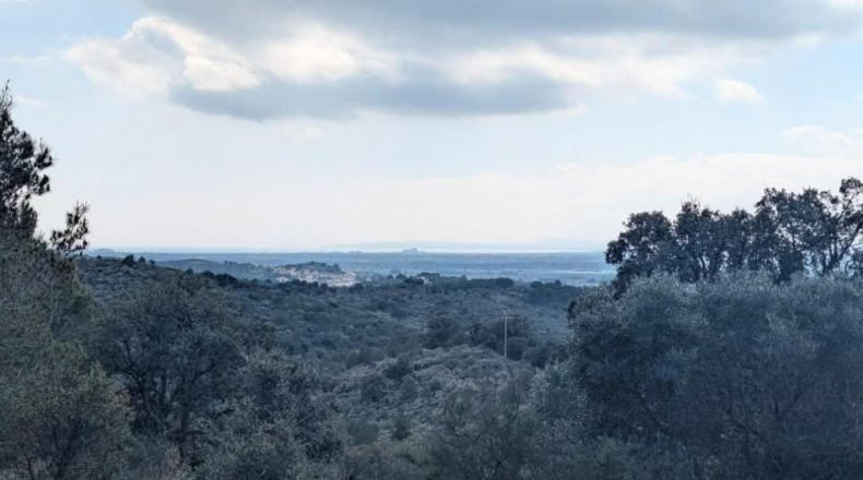 Gerona - Garriguella - 32000m2