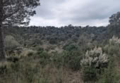 Земля на продажу у города Garriguella Фото