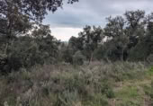 Земля на продажу у города Garriguella Фото