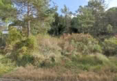 Terreny no urbanitzable en venda a la España, Monistrol de Calders, ref.: TR361490 foto