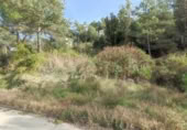 Terreny no urbanitzable en venda a la España, Monistrol de Calders, ref.: TR361490 foto