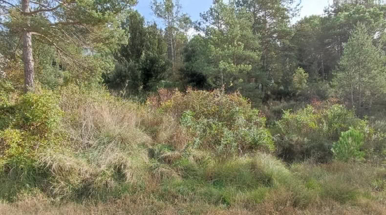 Барселона - Monistrol de Calders - 636m2