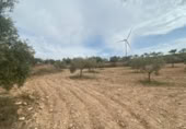 Xalet independent amb terreny en venda a la España, Lucena, ref.: TR288139 foto