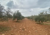 Xalet independent amb terreny en venda a la España, Lucena, ref.: TR288139 foto