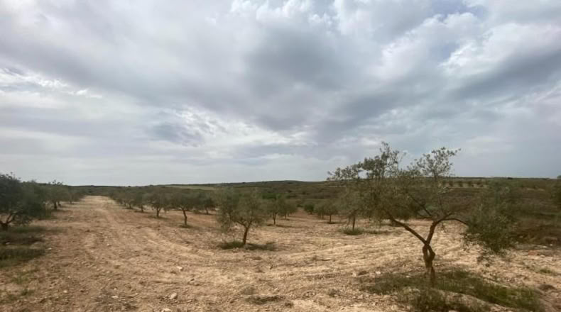 Cordova - Lucena - 8600m2