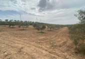 Xalet independent amb terreny en venda a la España, Lucena, ref.: TR288139 foto