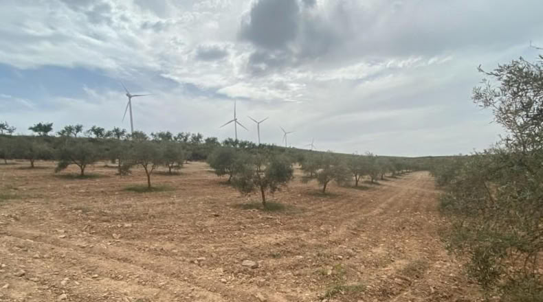 Cordova - Lucena - 8600m2