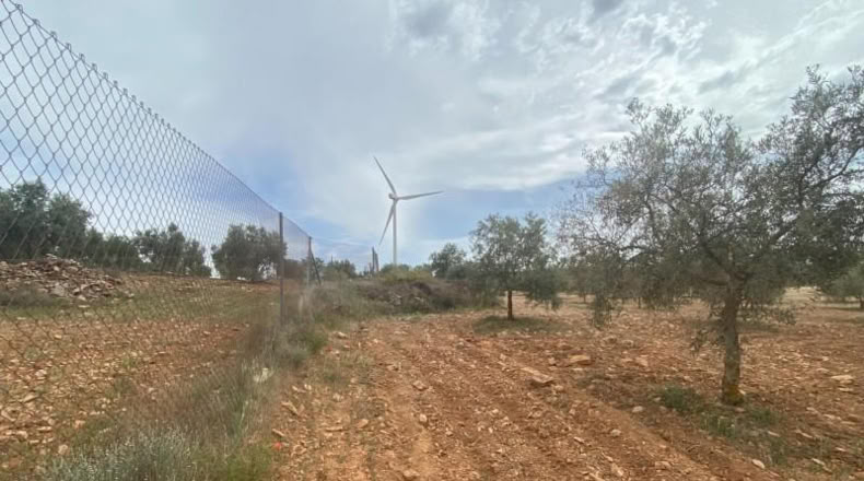 Cordova - Lucena - 8600m2