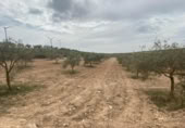 Xalet independent amb terreny en venda a la España, Lucena, ref.: TR288139 foto
