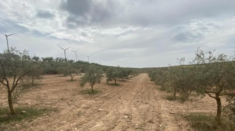 Cordova - Lucena - 8600m2